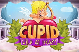 Cupid - Wild at Heart